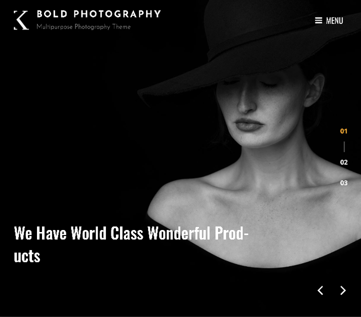 Bold Photography - Best Free Business WordPress Themes and Templates 2020