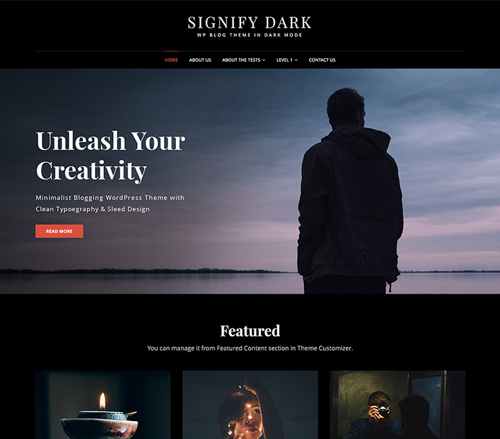 Signify Dark - Best Free Business WordPress Themes 2020