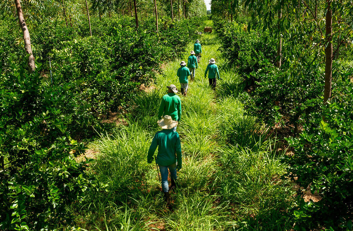 Farmers outdoors